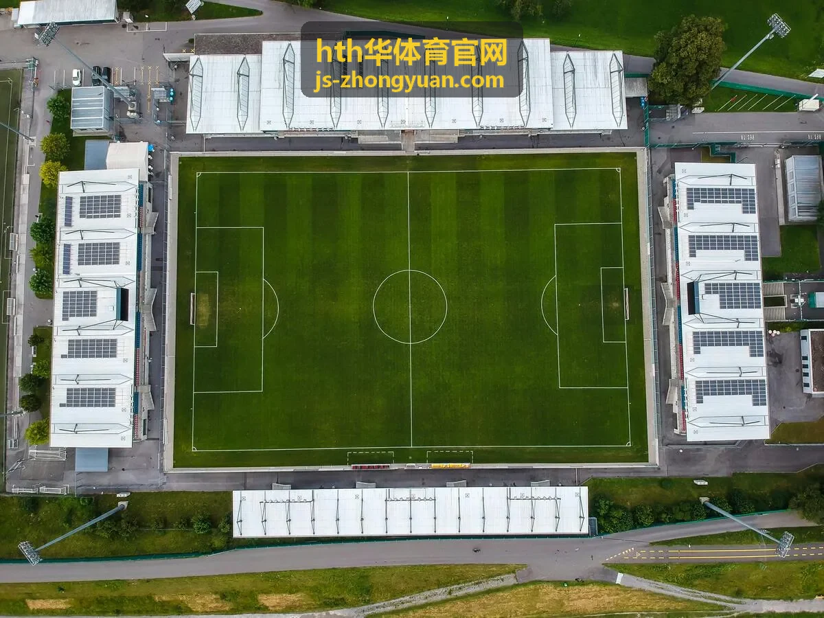 hth华体育官网项目数据复盘与报告